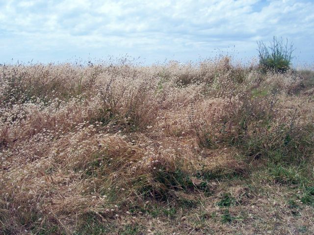 106_4664.JPG