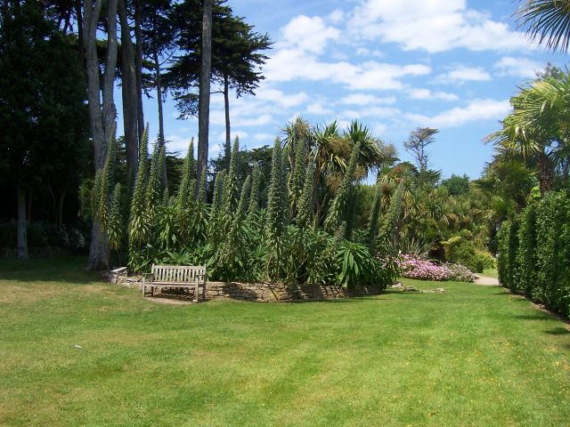 106_4687.JPG