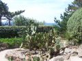 106_4692.JPG