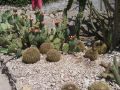 106_4693.JPG