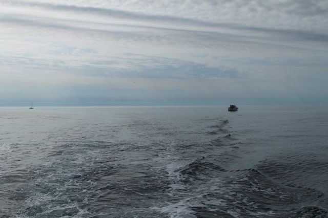 IMG_2756.jpg