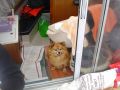 DSC02801.JPG