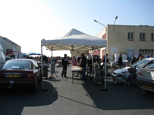 IMG_0795.jpg